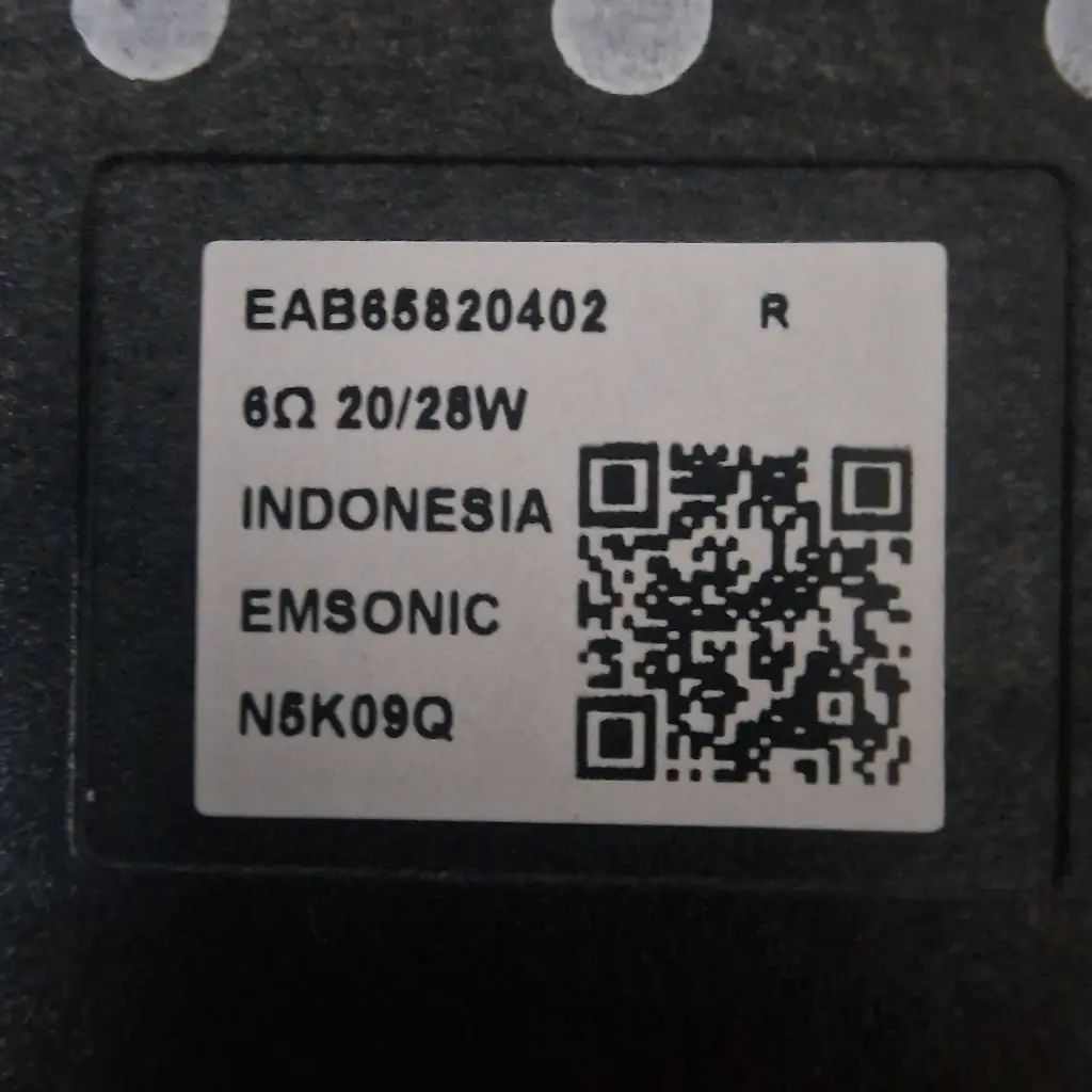 Altavoces LG EAB65820401 EAB65820402 Par L R TV OLED48C54LA C5 48 Original4.webp