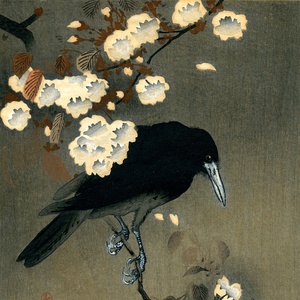 Cuervo y flor de cerezo · Ohara Koson
