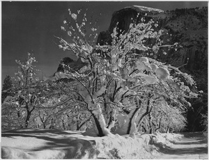 Half Dome, Yosemite · Ansel Adams