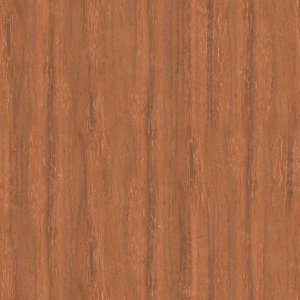 Cedro rojo